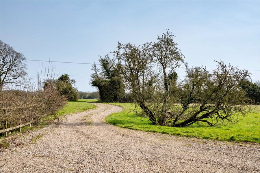 Driveway