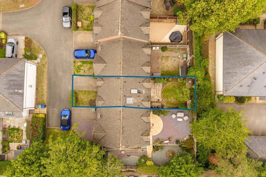 Birdseye