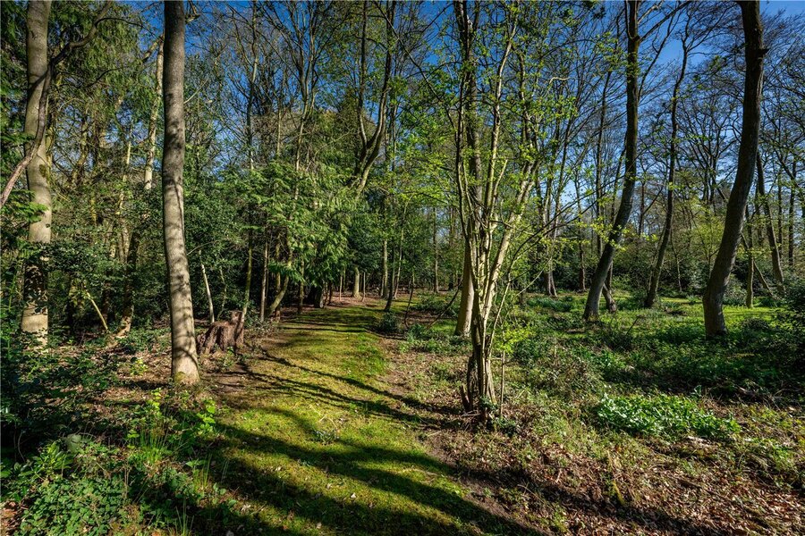 Grounds
