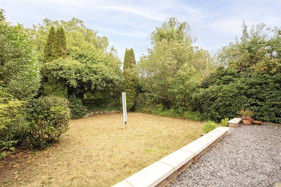 Garden From Terrace