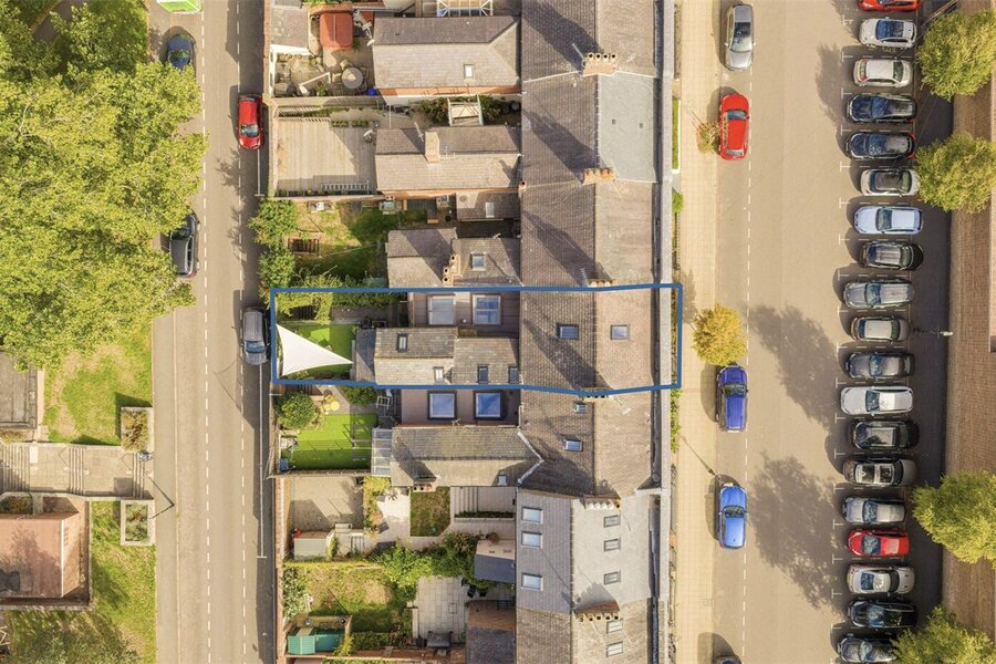 Birdseye