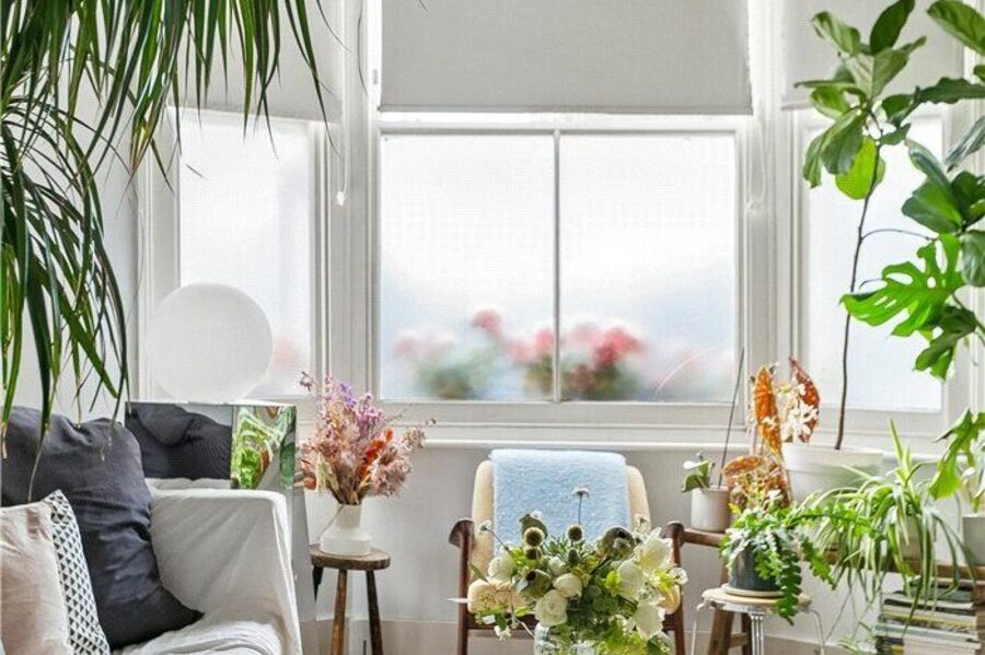Picture No. 20