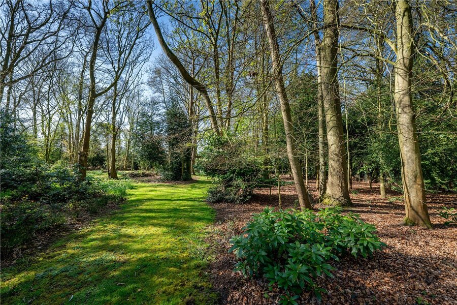 Grounds