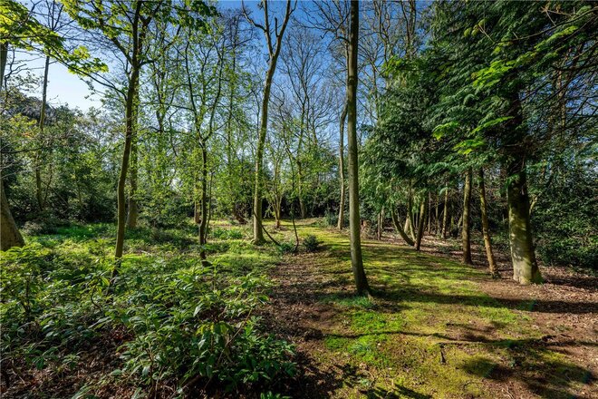 Long Road, Norwich, NR14