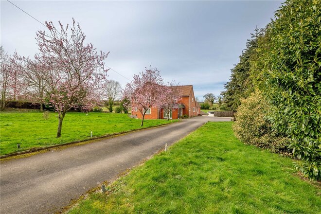 Mundham Common, Norwich, NR14