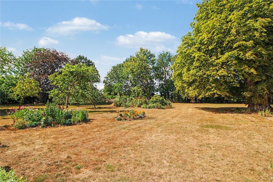 Grounds
