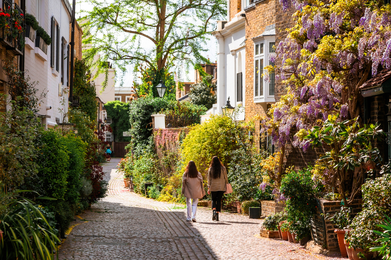 Kensington - mid image