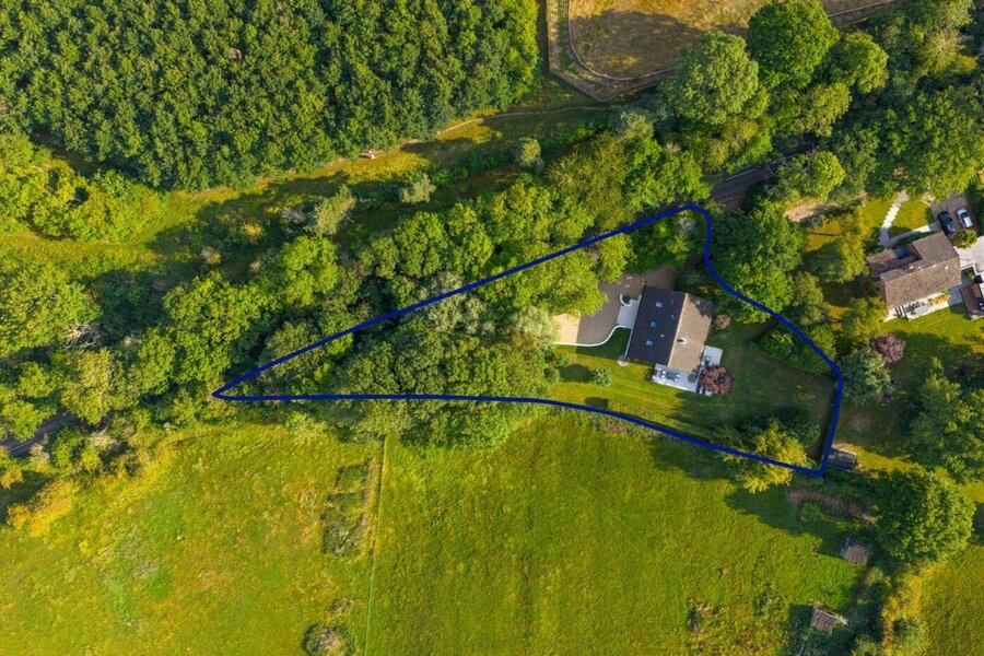 Birdseye