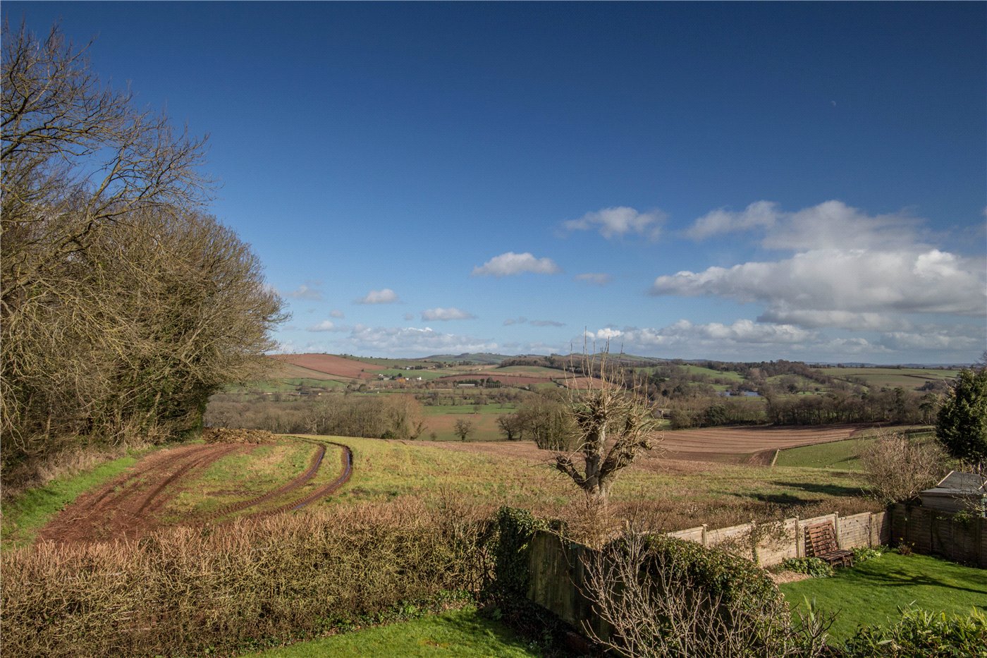 Golden Joy, Crediton, Devon, EX17