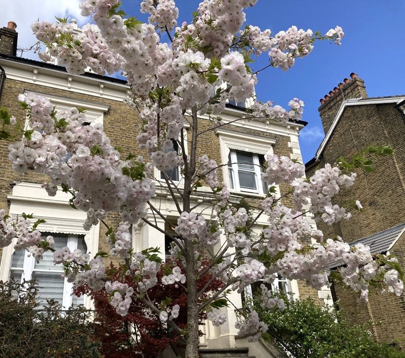 Mount Ephraim Road, London, SW16