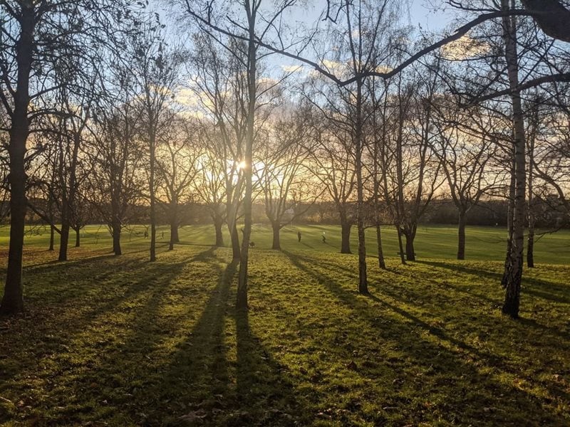 Apple Tree Road, London, N17