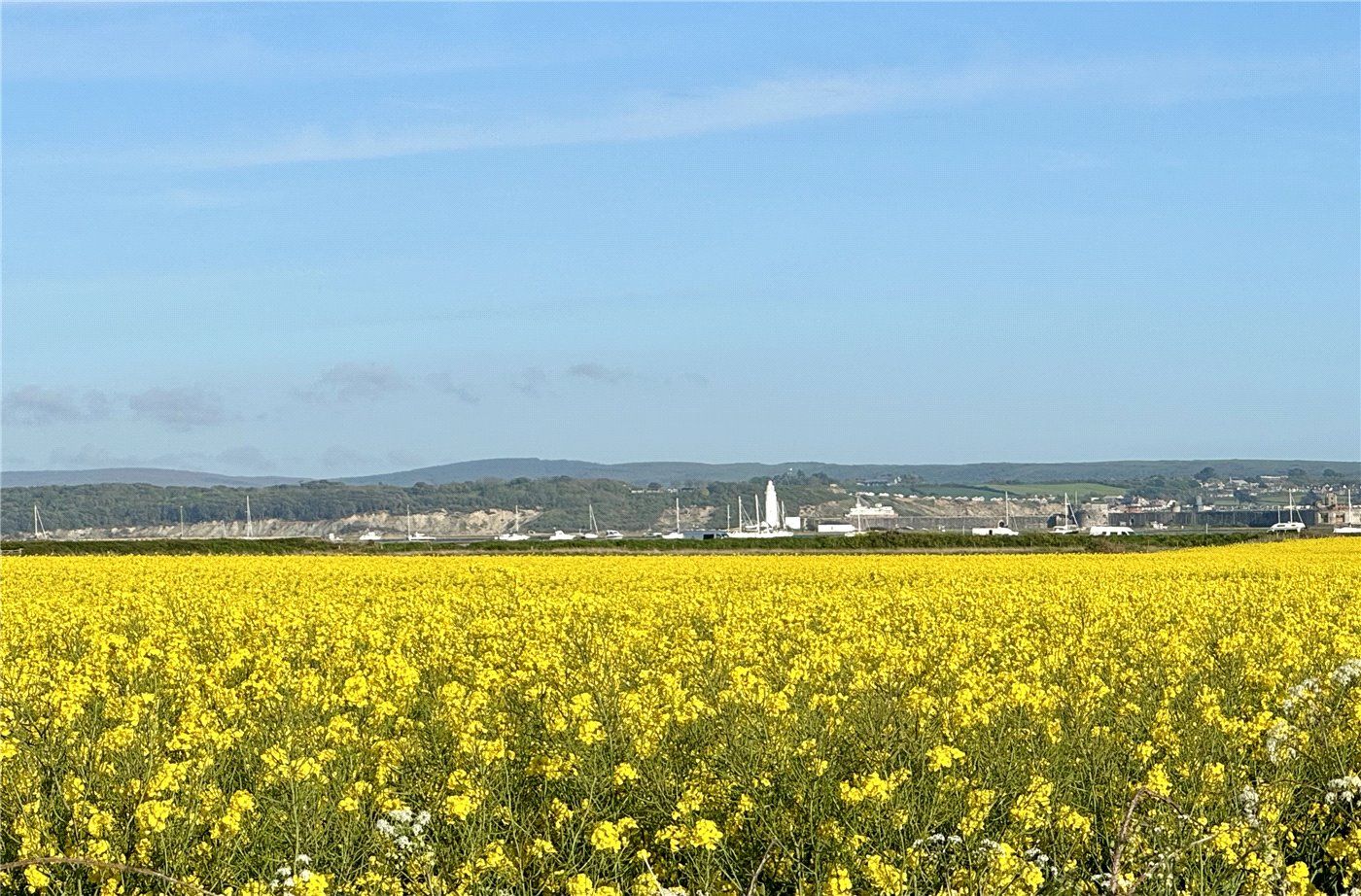 Shipwrights Walk, Keyhaven, Lymington, Hampshire, SO41