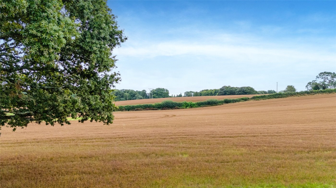 Holt Lane, Holt, Wimborne, Dorset, BH21