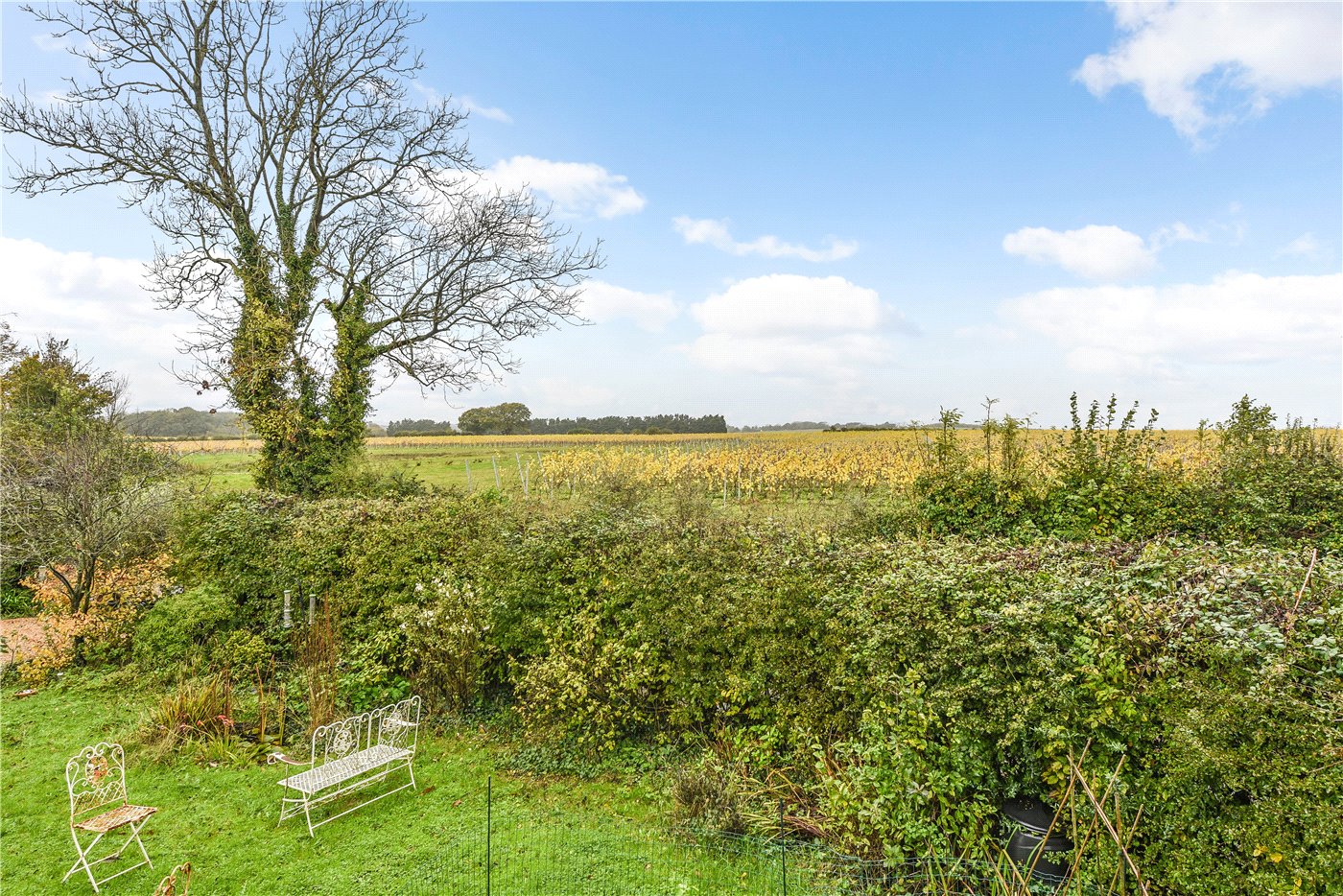 Catherington, Waterlooville, Hampshire, PO8